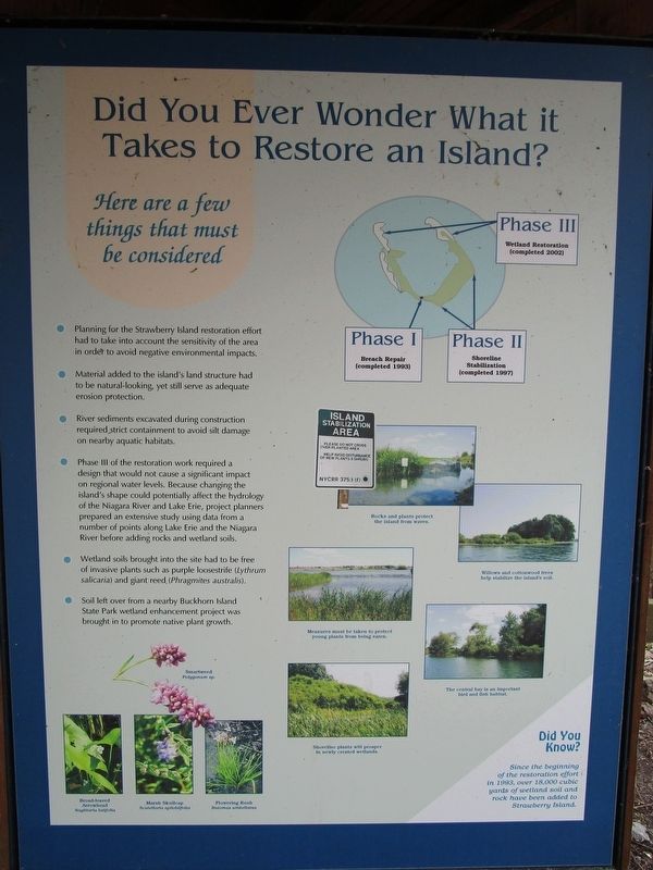 Did You Ever Wonder What It Takes to Restore an Island? Marker. Click for full size. Did You Ever Wonder What It Takes to Restore an Island? Marker image. Click for full size.