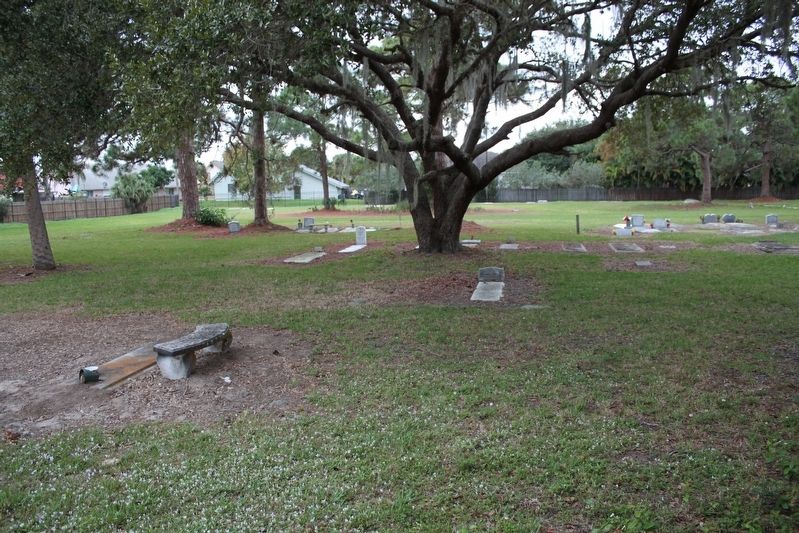 White Lilly Cemetery. Click for full size. White Lilly Cemetery image. Click for full size.