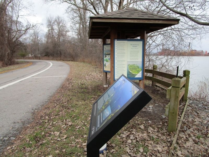 Recovery Marker, Facing River. Click for full size. Recovery Marker, Facing River image. Click for full size.