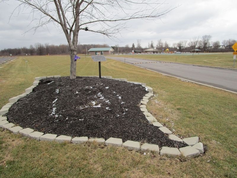 Veterans Park Marker image. Click for full size.