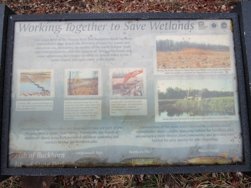 Working Together to Save Wetlands Marker image. Click for full size.