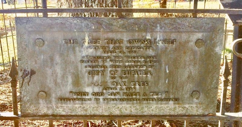 The Tree That Owns Itself Plaque. Click for full size. The Tree That Owns Itself Plaque image. Click for full size.