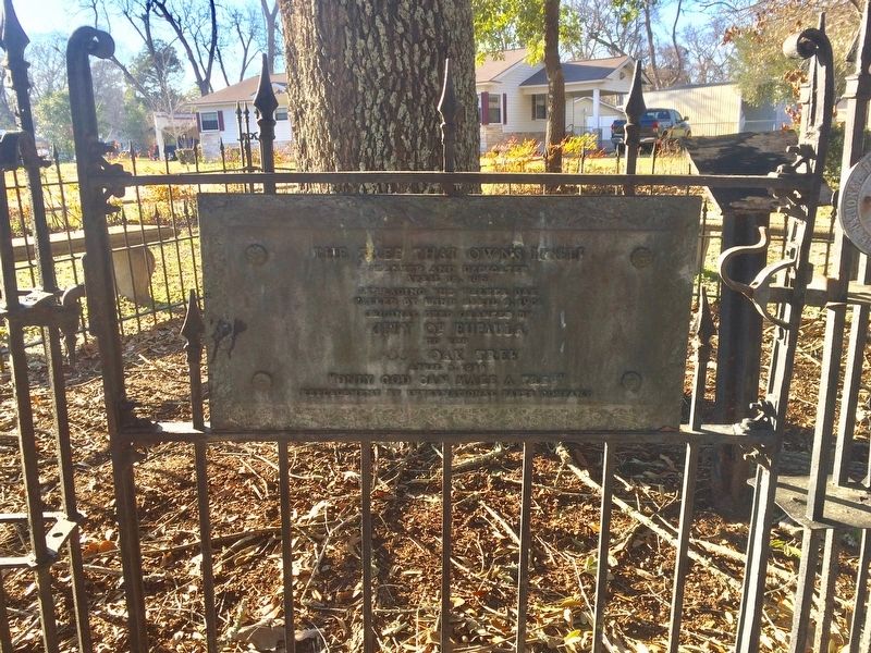 The Tree That Owns Itself Fence & Plaque. Click for full size. The Tree That Owns Itself Fence & Plaque image. Click for full size.