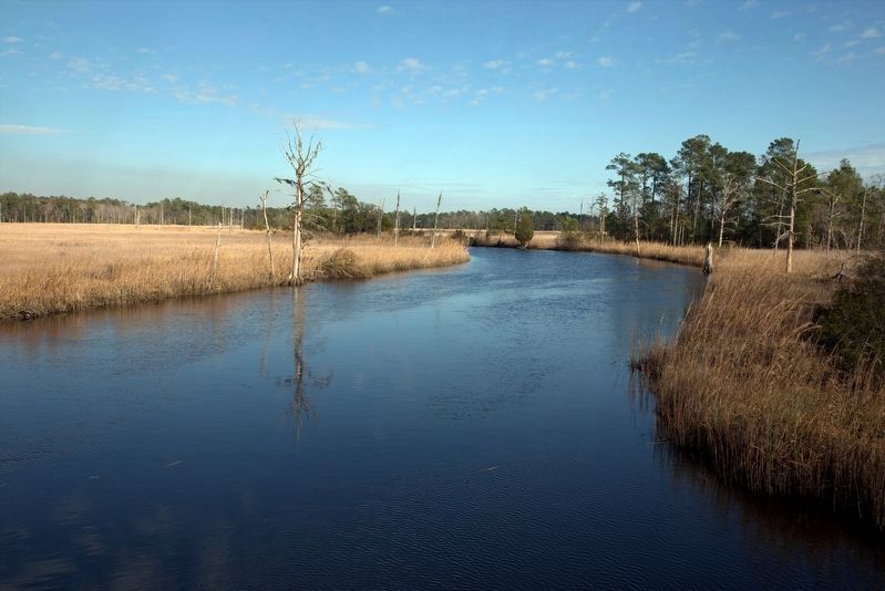 Town Creek Flowing towards the Cape Fear River image. Click for full size.