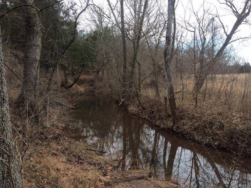 View of Holkums Branch along the Stone Bridge connector trail.. Click for full size. View of Holkums Branch along the Stone Bridge connector trail. image. Click for full size.