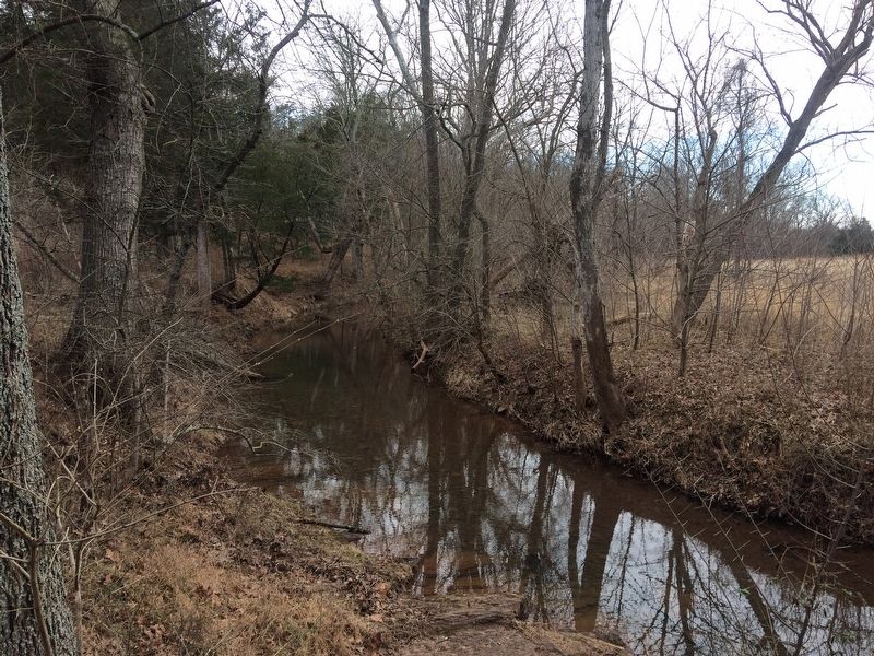 View of Holkums Branch along the Stone Bridge connector trail. image. Click for full size.