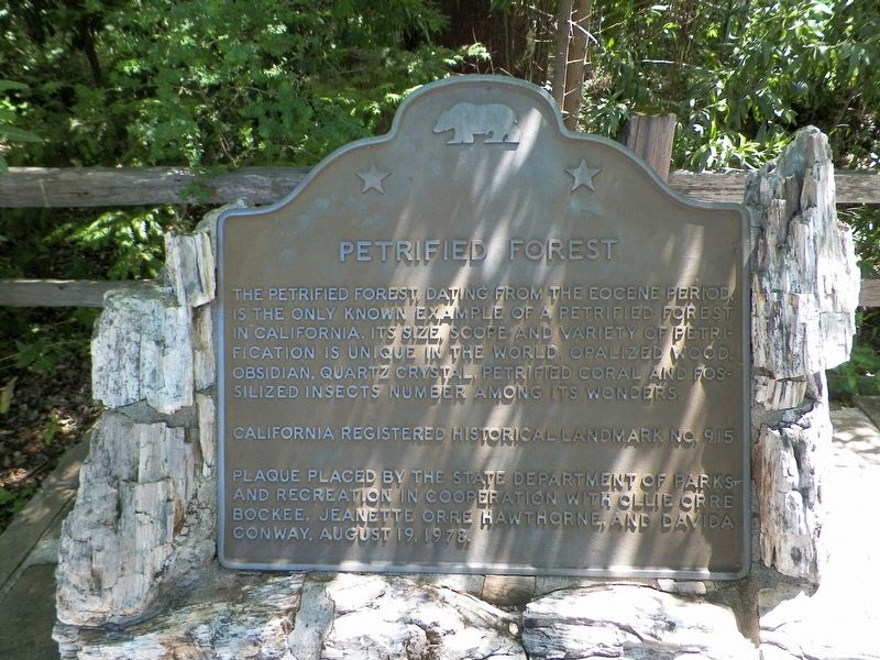 Petrified Forest Marker image. Click for full size.