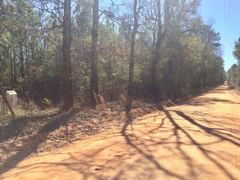 View of marker looking south on Bird Jackson Road. image. Click for full size.