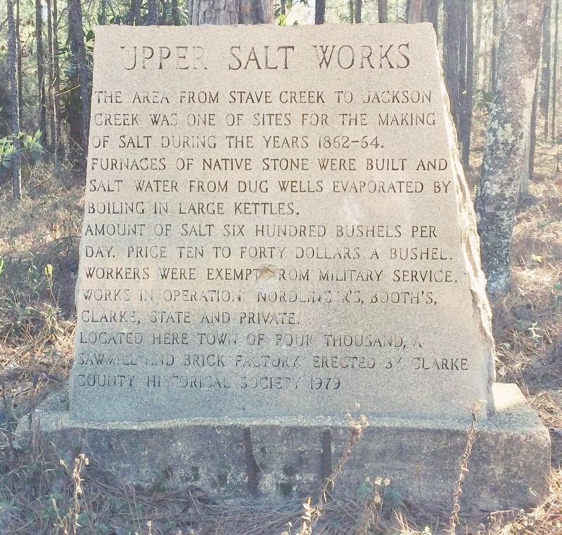 Upper Salt Works Marker image. Click for full size.