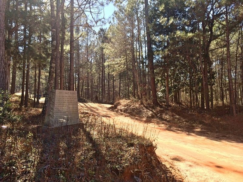 View of Upper Salt Works Marker looking west towards Bolen Town Road. image. Click for full size.