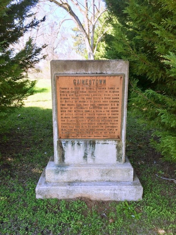 Gainestown Marker between large evergreen trees. image. Click for full size.