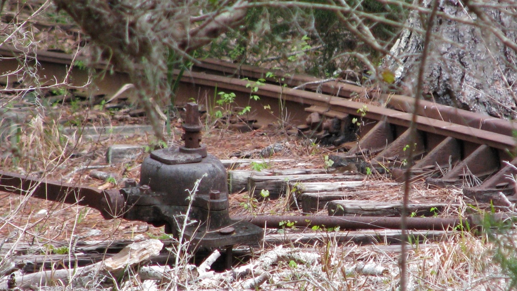 Lehigh Trail: Railroad Switch Remnant image. Click for full size.