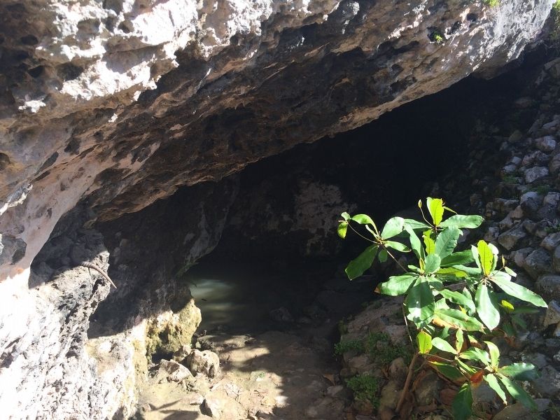 The small cenote that is underneath the House of the Cenote. image. Click for full size.