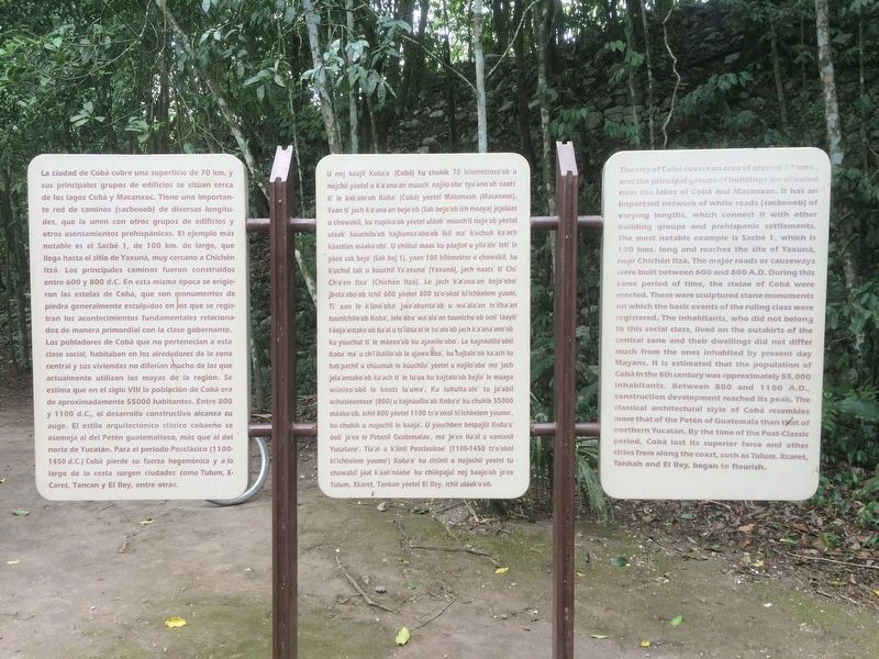 The City of Cobá Marker. Click for full size. The City of Cobá Marker image. Click for full size.