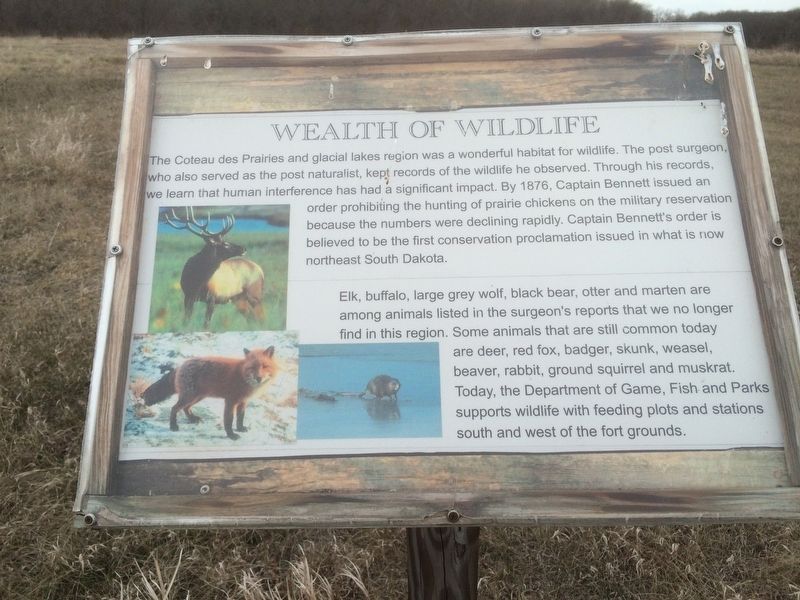 Wealth of Wildlife Marker. Click for full size. Wealth of Wildlife Marker image. Click for full size.