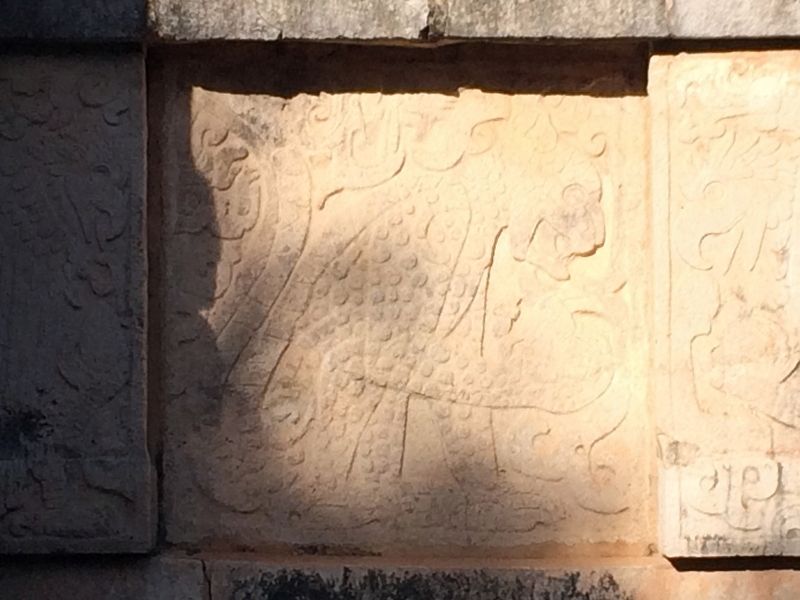 A jaguar holding a human heart...as mentioned in the marker text. image. Click for full size.