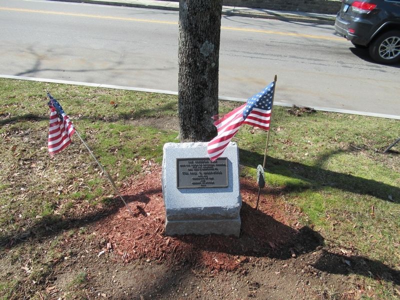 The Freedom Tree Marker image. Click for full size.