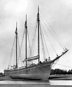 C.A. Thayer, launched November 12, 1895 image. Click for full size.