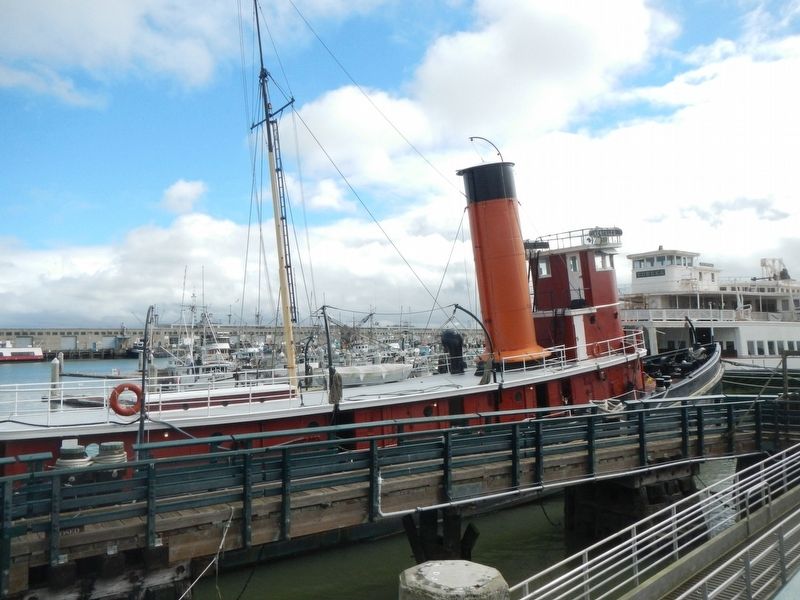 Steam Tug <i>Hercules </i> image. Click for full size.