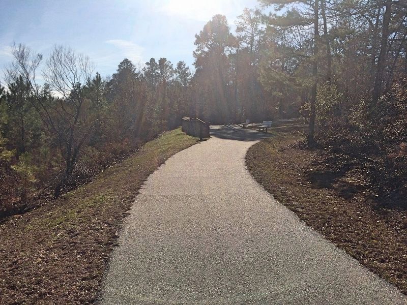View from marker towards trail. image. Click for full size.