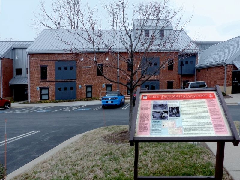 The Thomas Cannery Marker. Click for full size. The Thomas Cannery Marker image. Click for full size.