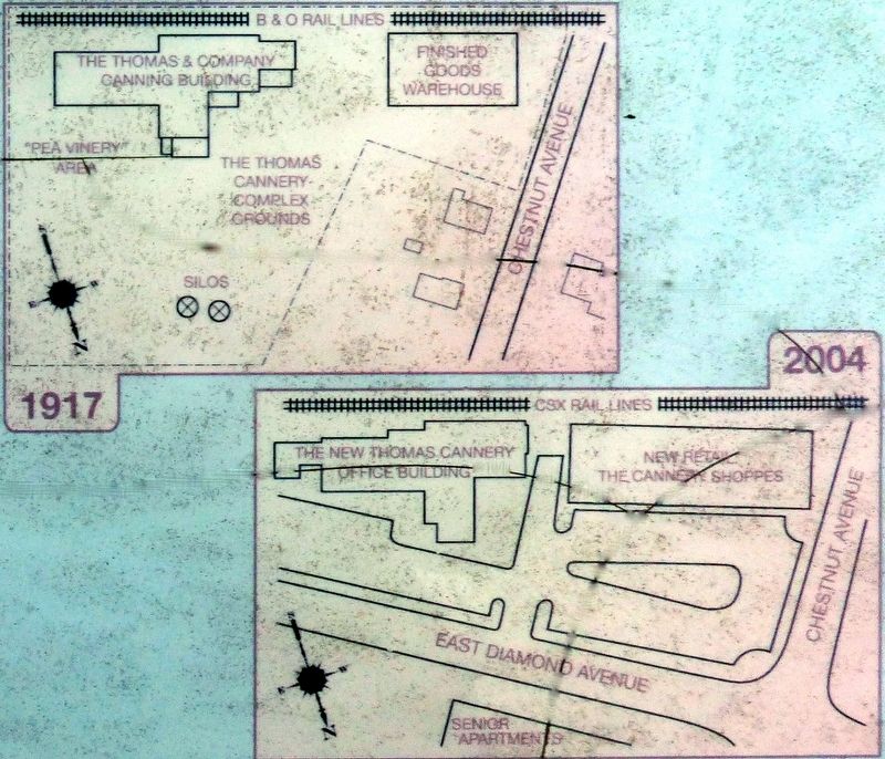 The Thomas Cannery 1917 & 2004. Click for full size. The Thomas Cannery 1917 & 2004 image. Click for full size.