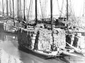 Scow Schooner Unloading Hay. Click for full size. Scow Schooner Unloading Hay image. Click for full size.