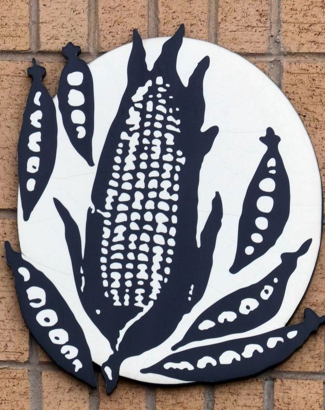 Peas and Corn<br>The Thomas Cannery Logo image. Click for full size.