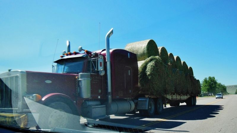 Loaded Hay Roll Truck image. Click for full size.