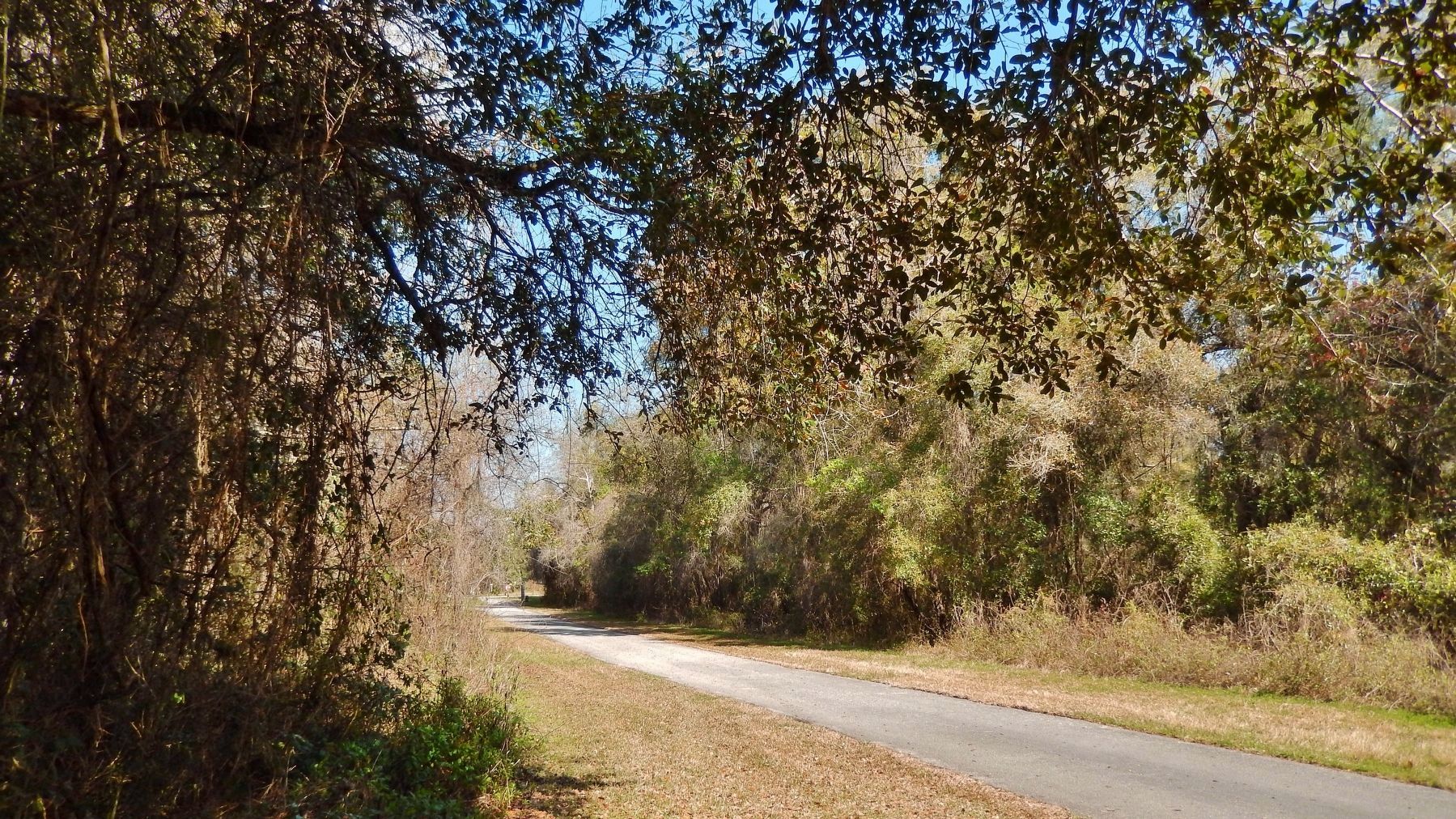 Rail Trail (formerly railroad track) (<b><i>view north from marker</b></i>) image. Click for full size.