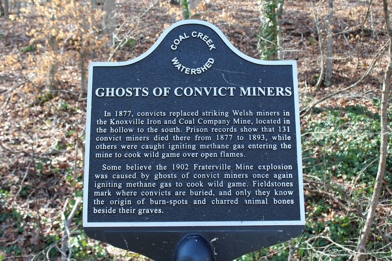 Ghosts of Convict Miners Marker image. Click for full size.