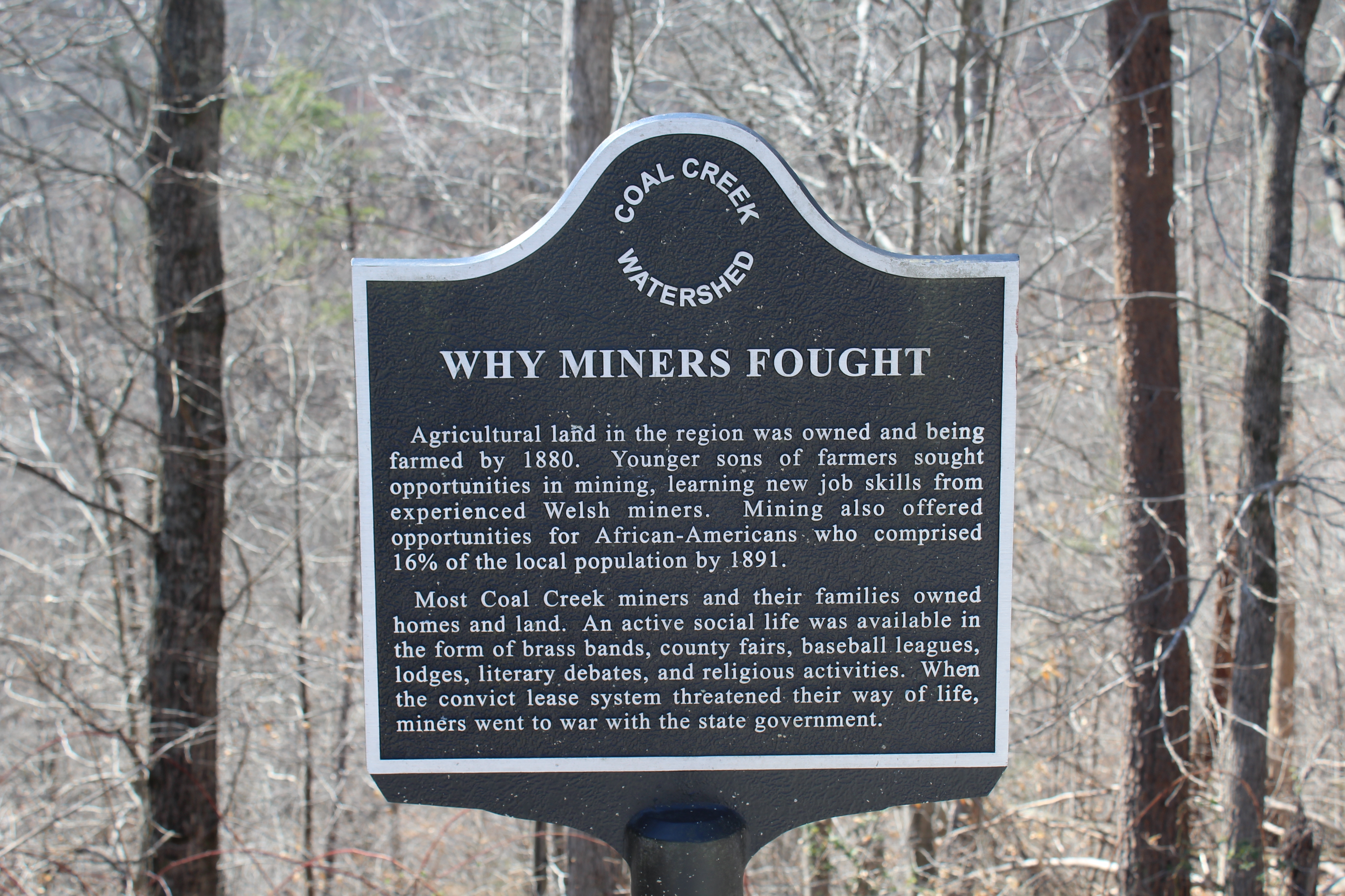 Why Miners Fought Marker