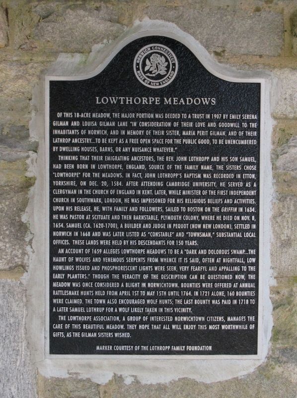 Lowthorpe Meadows Marker image. Click for full size.
