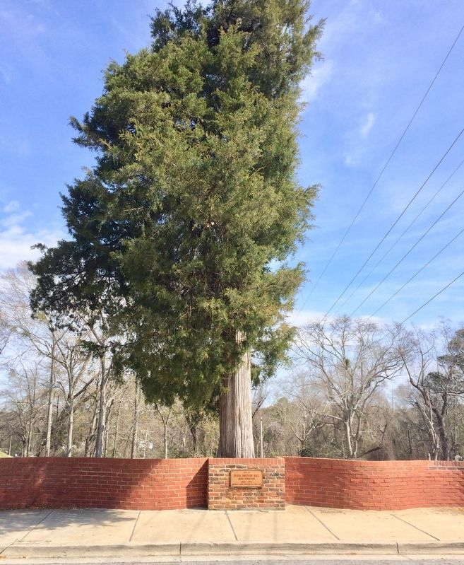 Site of Olivia Davidson Hall Marker. Click for full size. Site of Olivia Davidson Hall Marker image. Click for full size.
