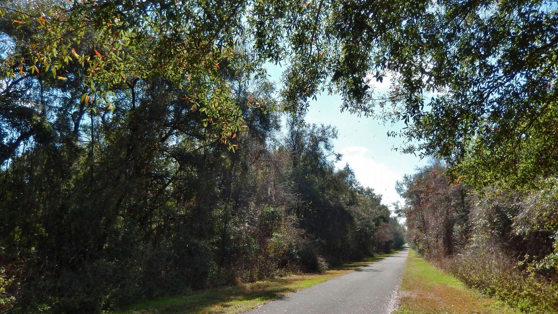Rail Trail (formerly railroad track) (<b><i>view south from marker</b></i>) image. Click for full size.