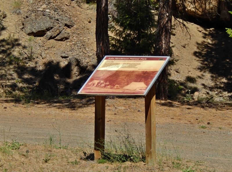 Julia Henderson Pioneer Park Marker (<b><i>wide view</b></i>) image. Click for full size.