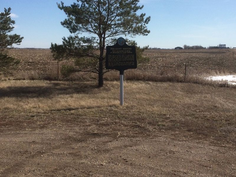 Pheasant History Marker image. Click for full size.