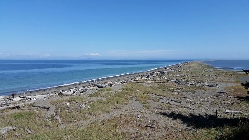 Dungeness Spit (<b><i>view northeast toward lighthouse from mainland</b></i>) image. Click for full size.