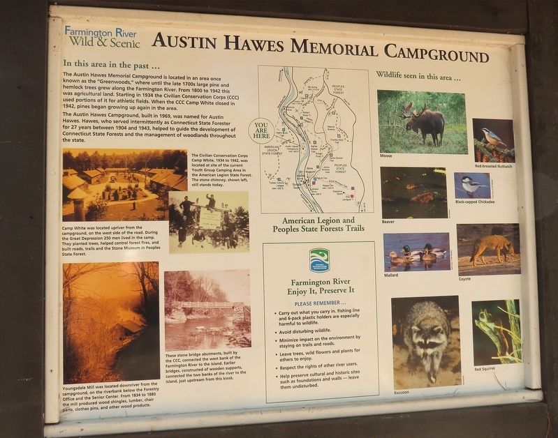 Austin Hawes Memorial Campground Marker image. Click for full size.