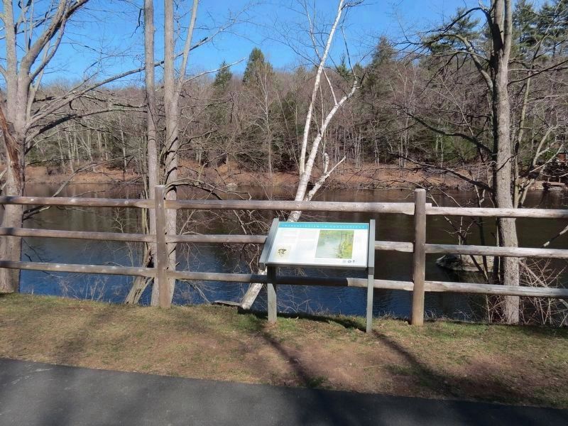 Viewpoint from the Farmington River Trail in Burlington.. Click for full size. Viewpoint from the Farmington River Trail in Burlington. image. Click for full size.