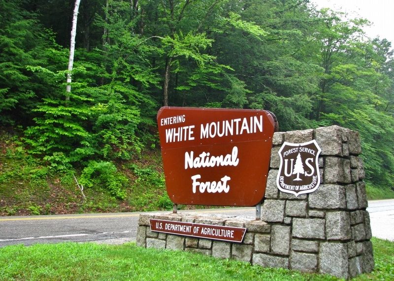 White Mountain National Forest Sign (<b><i>near marker</b></i>) image. Click for full size.