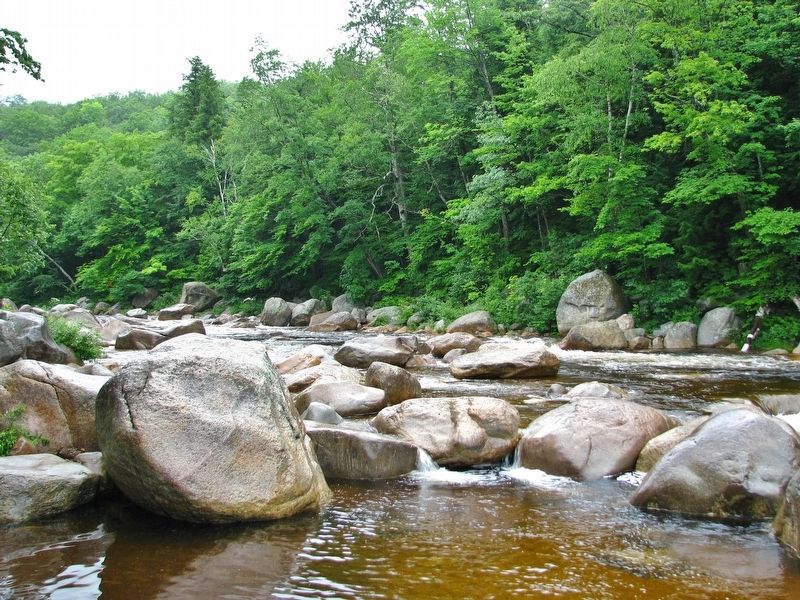 Swift River (<b><i>view near marker</b></i>) image. Click for full size.