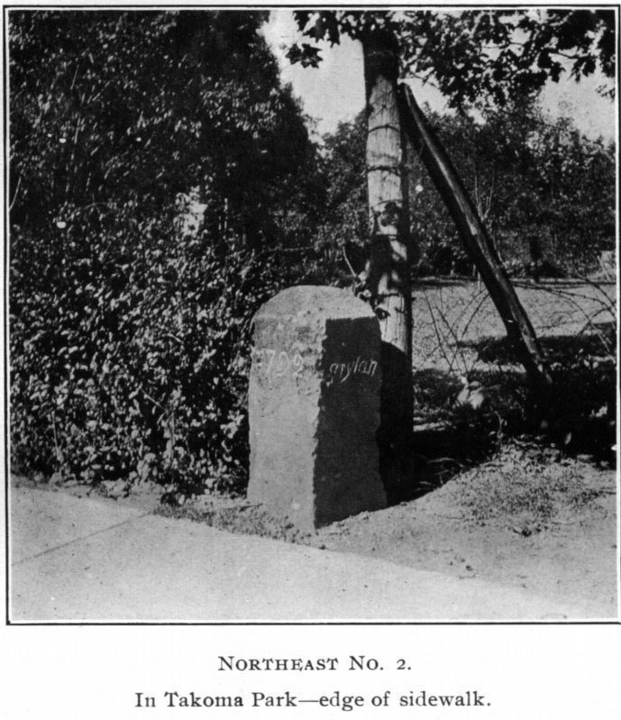 Northeast No. 2<br>In Takoma Park — edge of sidewalk. image. Click for full size.