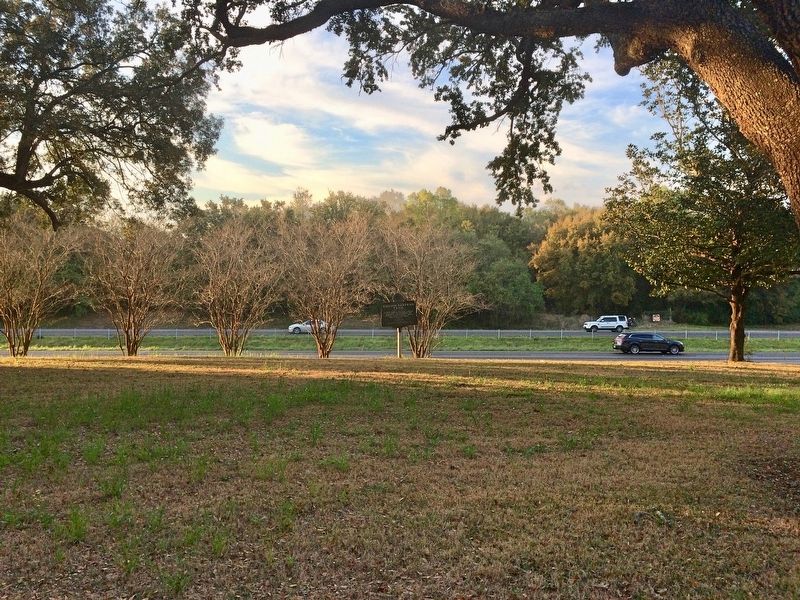William Bartram Trail Marker near Interstate 10 Eastbound lane. image. Click for full size.
