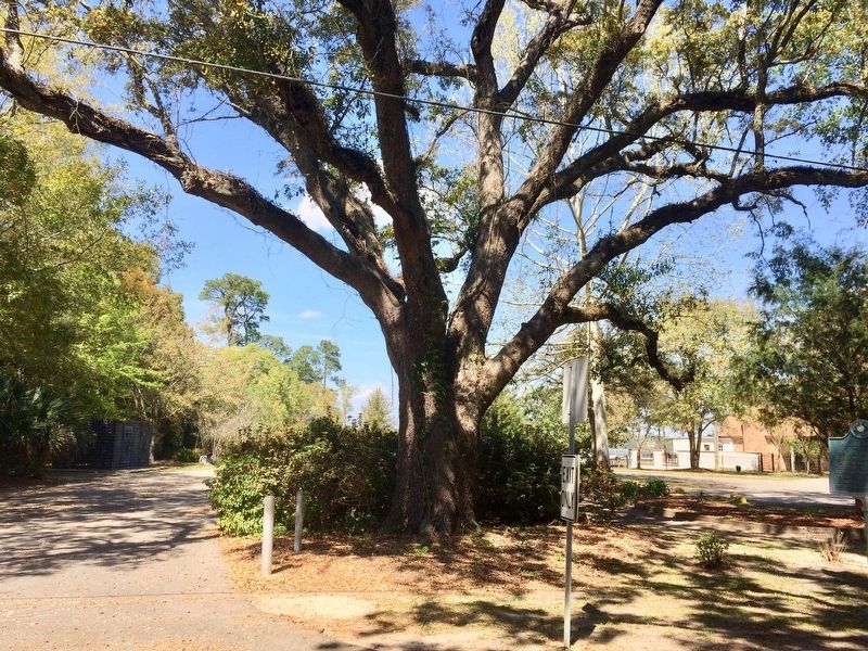 Marble Springs City Park with marker on right.. Click for full size. Marble Springs City Park with marker on right. image. Click for full size.