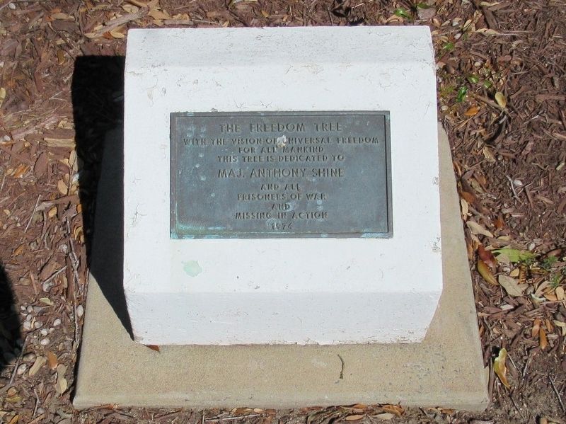 The Freedom Tree Marker. Click for full size. The Freedom Tree Marker image. Click for full size.