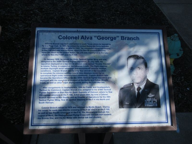 Colonel Alva "George" Branch Marker image. Click for full size.