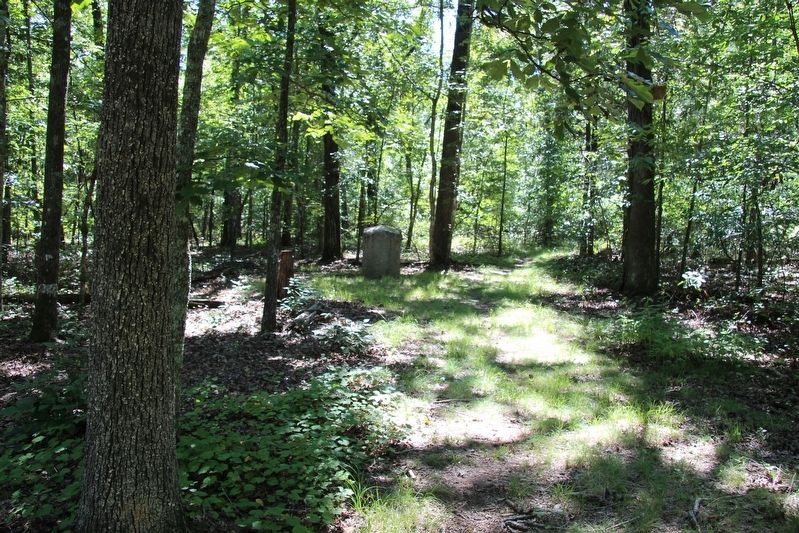 29th Indiana Infantry Marker image. Click for full size.