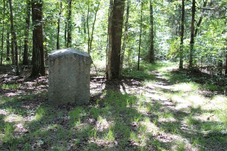29th Indiana Infantry Marker image. Click for full size.
