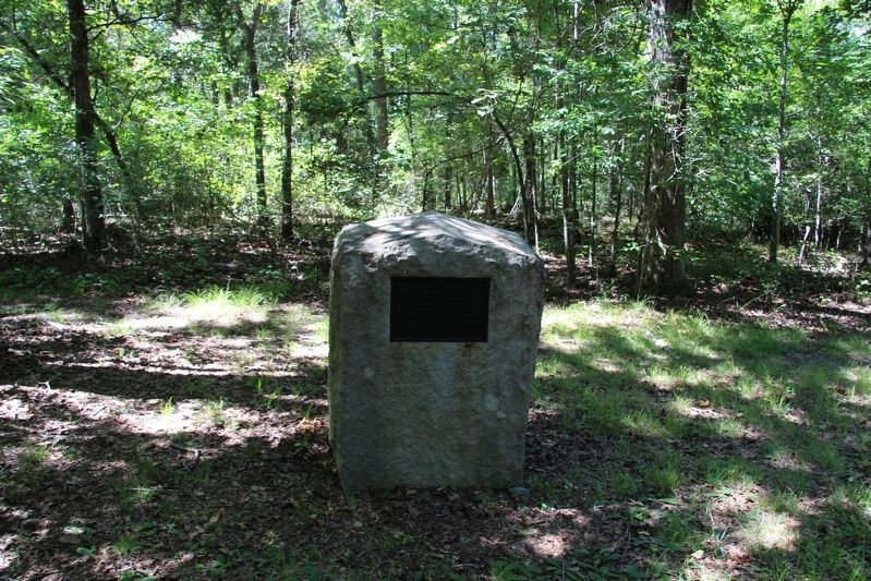 29th Indiana Infantry Marker image. Click for full size.